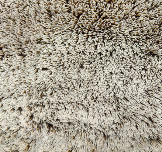 Frosted Shaggy Fur