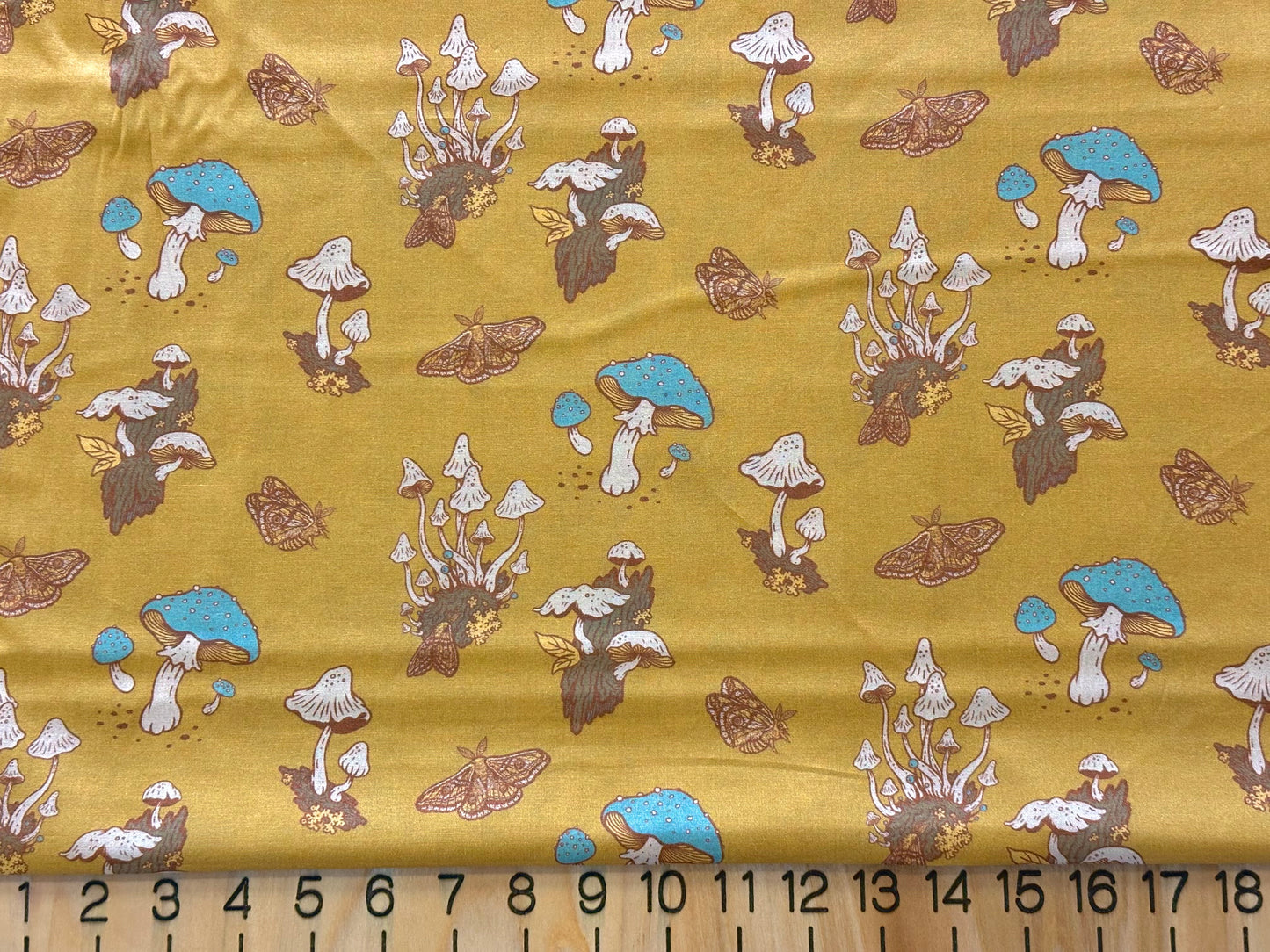 The Wild Coast Lawn (BIFLN-MBH)