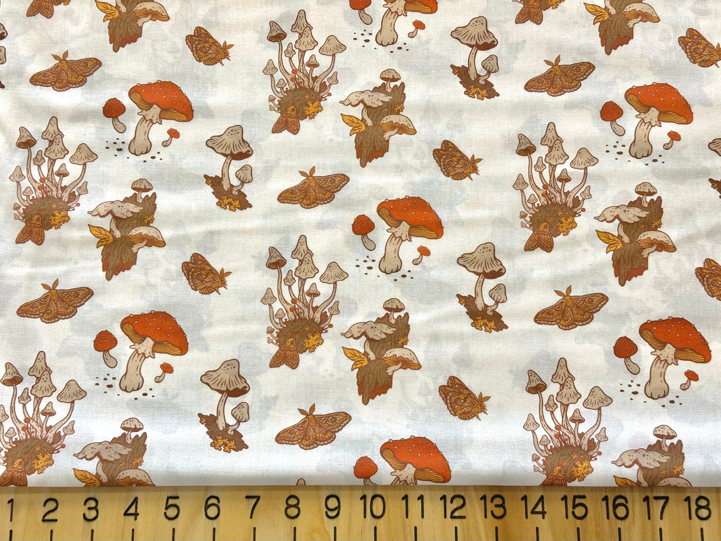 The Wild Coast Lawn (BIFLN-MBH)