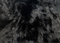 Luxe Cuddle | Dreamy Fur