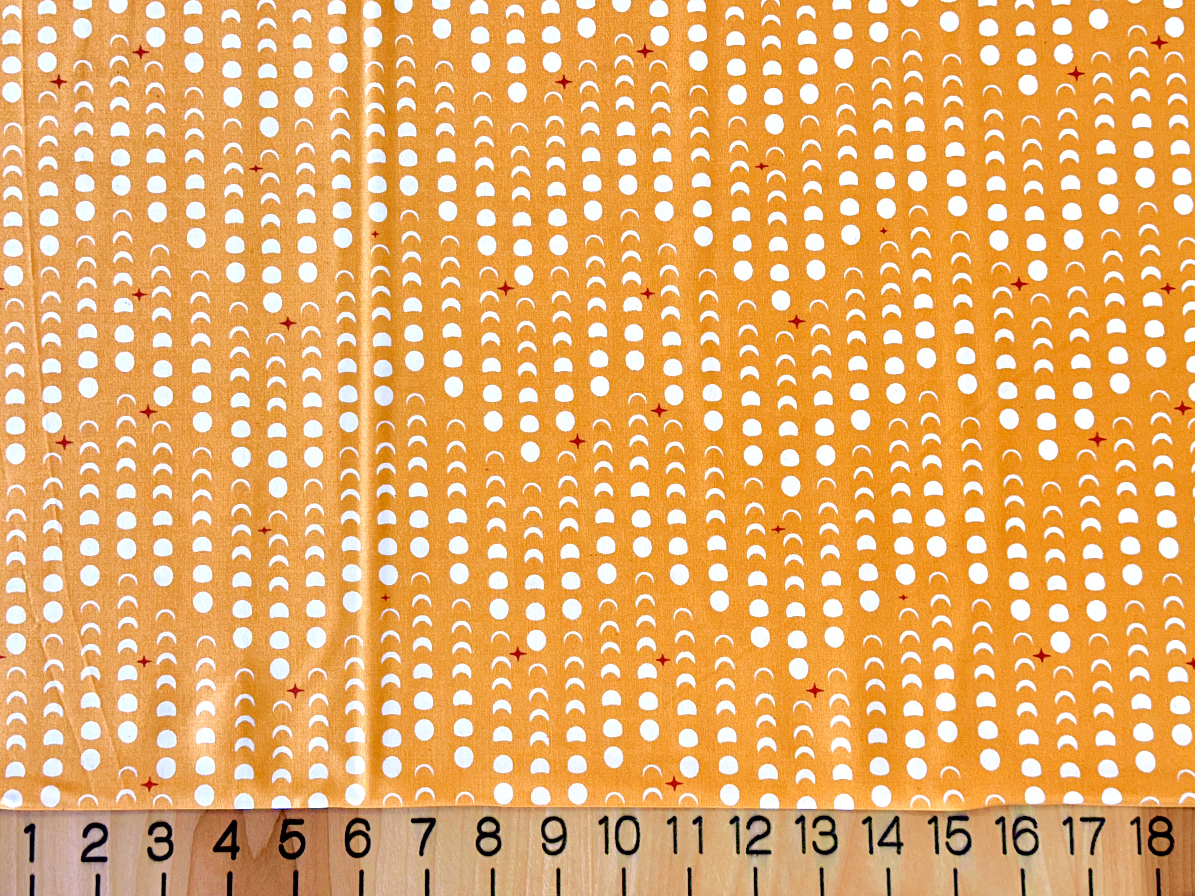 Tall Tales Poplin (BIFTT)