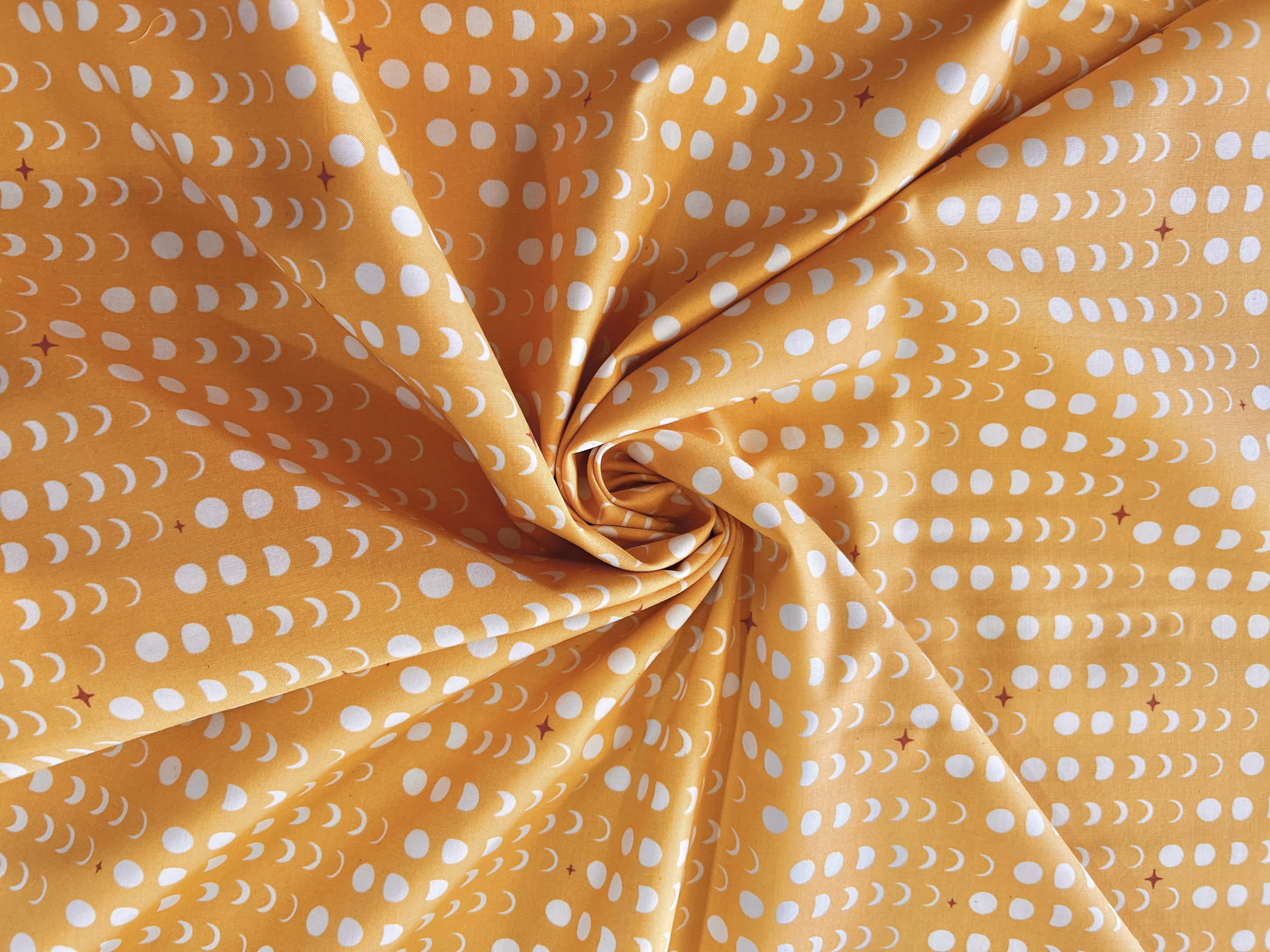Tall Tales Poplin (BIFTT)