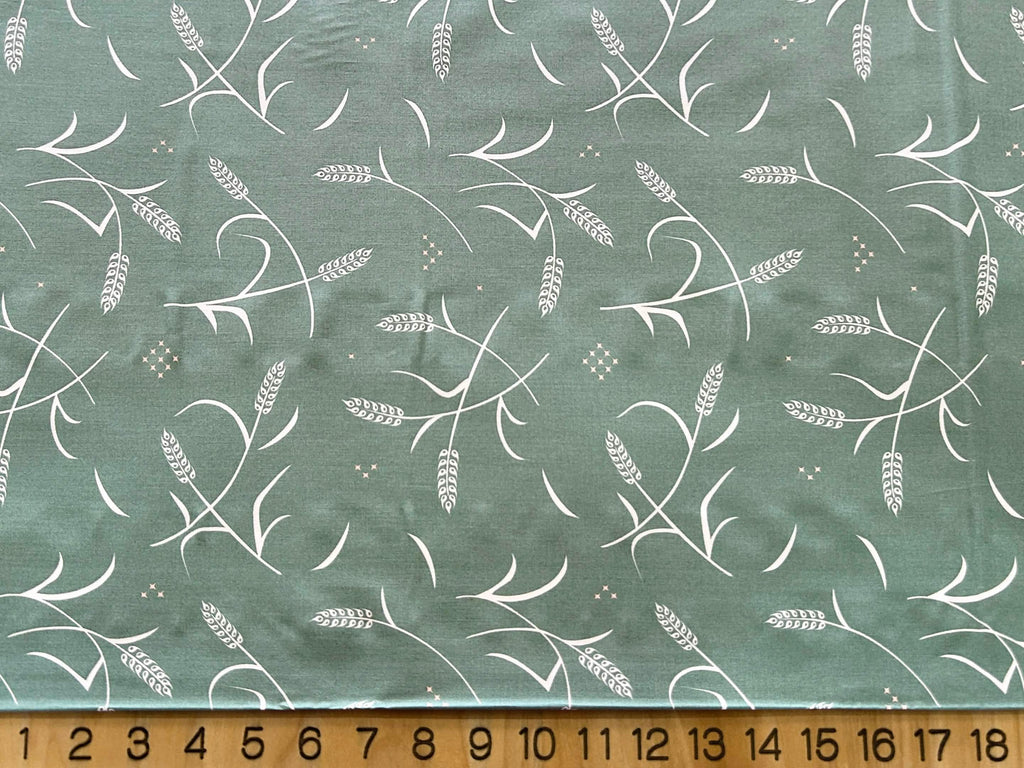 Tall Tales Poplin (BIFTT)