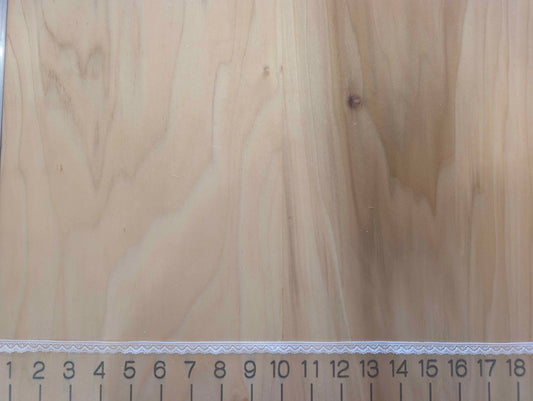 Champagne Scallop Trim